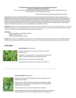 Ethnobotany Lesson