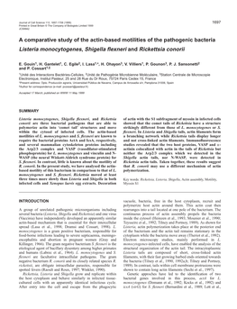 Actin-Based Motility of Pathogenic Bacteria