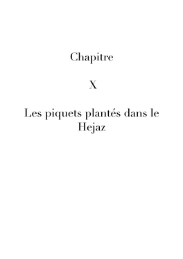 Chapitre 10 Des Piquets Dans Le Hedjaz