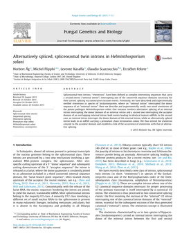 Alternatively Spliced, Spliceosomal Twin Introns in Helminthosporium