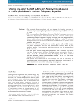 Potential Impact of the Leafcutting Ant Acromyrmex Lobicornis on Conifer Plantations in Northern Patagonia, Argentina