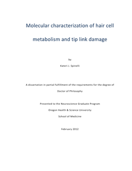 Molecular Characterization of Hair Cell Metabolism and Tip Link Damage