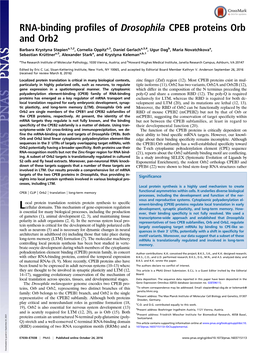 RNA-Binding Profiles of Drosophila CPEB Proteins Orb and Orb2