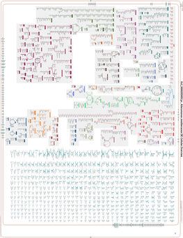 Generated by SRI International Pathway Tools Version 25.0, Authors S