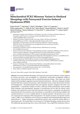 Mitochondrial PCK2 Missense Variant in Shetland Sheepdogs with Paroxysmal Exercise-Induced Dyskinesia (PED)