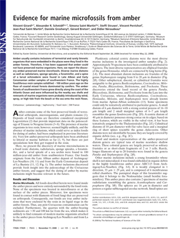 Evidence for Marine Microfossils from Amber