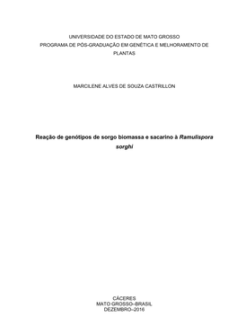 Reação De Genótipos De Sorgo Biomassa E Sacarino À Ramulispora Sorghi