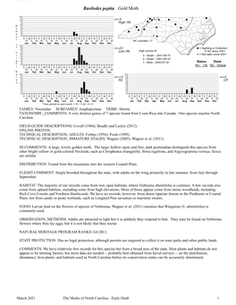Moths of North Carolina - Early Draft 1