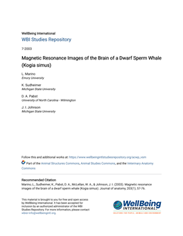 Magnetic Resonance Images of the Brain of a Dwarf Sperm Whale (Kogia Simus)