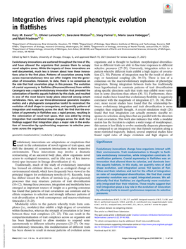 Integration Drives Rapid Phenotypic Evolution in Flatfishes