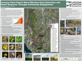 Invasive Plant Patrol in Orange County