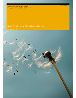 SAP Test Data Migration Server Release 4.0 Typographic Conventions