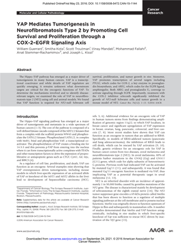 YAP Mediates Tumorigenesis in Neurofibromatosis Type 2 by Promoting Cell Survival and Proliferation Through a COX-2−EGFR Signaling Axis