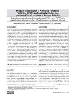 And Potato Virus V (PVV) Isolates Naturally Infecting Cape Gooseberry