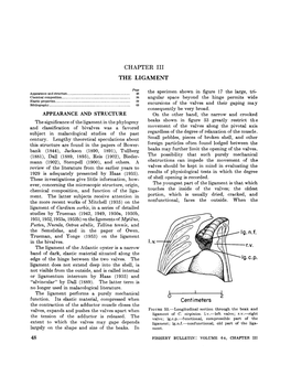 3. the Ligament in the Lamellibranchia