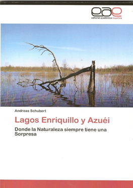 Andreas Schubert: Lagos Enriquillo Y Azue I