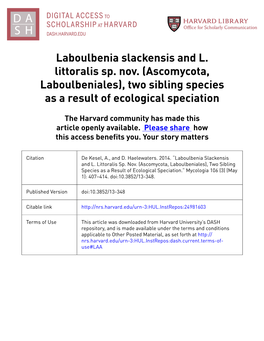 Laboulbenia Slackensis and L. Littoralis Sp. Nov