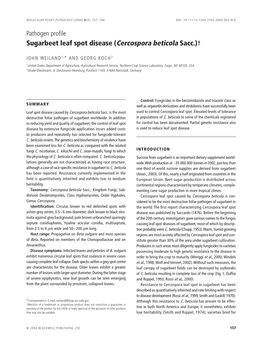 Sugarbeet Leaf Spot Disease (Cercospora Beticola Sacc.)†