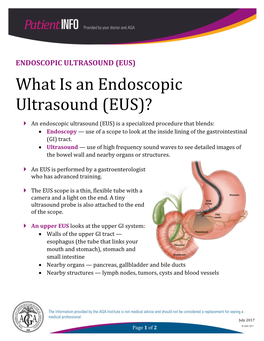 What Is an Endoscopic Ultrasound (EUS)?