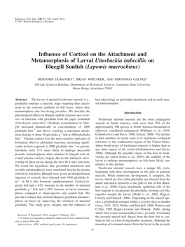 Influence of Cortisol on the Attachment and Metamorphosis of Larval Utterbackia Imbecillis