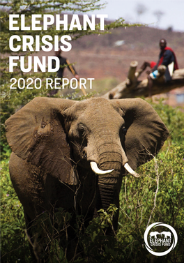 2020 REPORT Front Cover: © Ryan Wilkie