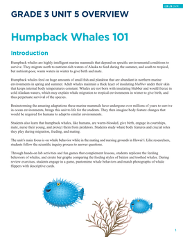 Humpback Whales 101