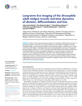 Long-Term Live Imaging of the Drosophila Adult Midgut Reveals