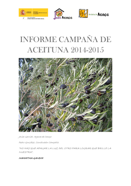 Informe Campaña De Aceituna 2014-2015