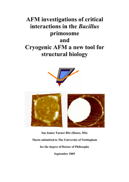 AFM Investigations of Critical Interactions in the Bacillus Primosome and Cryogenic AFM a New Tool for Structural Biology