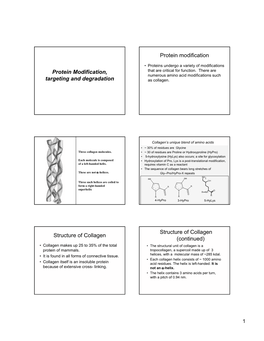 Protein Modification, Targeting and Degradation Protein Modification