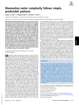 Mammalian Molar Complexity Follows Simple, Predictable Patterns