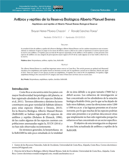 Anfibios Y Reptiles De La Reserva Biológica Alberto Manuel Brenes Amphibians and Reptiles of Alberto Manuel Brenes Biological Reserve