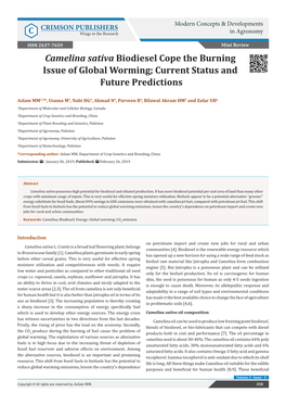 Camelina Sativa Biodiesel Cope the Burning Issue of Global Worming; Current Status and Future Predictions