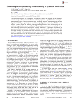 Electron Spin and Probability Current Density in Quantum Mechanics W