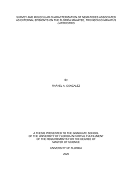 University of Florida Thesis Or Dissertation Formatting