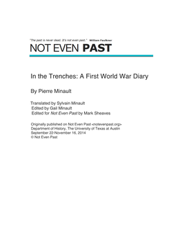 In the Trenches: a First World War Diary