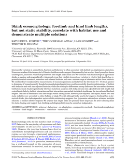 Skink Ecomorphology: Forelimb and Hind Limb Lengths, but Not Static