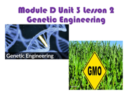 Module D Unit 3 Lesson 2 Genetic Engineering Scientists Used a Bioluminescent Gene from a Jellyfish to Create “Glowing” Green Mice! Genetic Engineering Terms to Know!