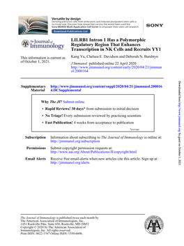 LILRB1 Intron 1 Has a Polymorphic Regulatory Region That Enhances Transcription in NK Cells and Recruits YY1