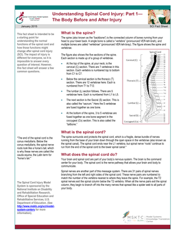 Understanding Spinal Cord Injury: Part 1—The Body Before and After