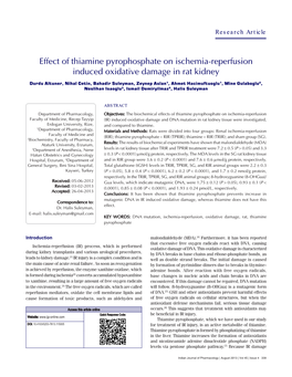 Effect of Thiamine Pyrophosphate on Ischemia-Reperfusion Induced Oxidative Damage in Rat Kidney