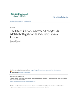 The Effects of Bone Marrow Adipocytes on Metabolic Regulation in Metastatic Prostate Cancer