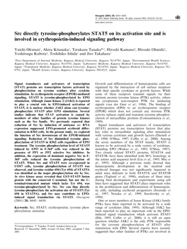 Src Directly Tyrosine-Phosphorylates STAT5 on Its Activation Site and Is Involved in Erythropoietin-Induced Signaling Pathway