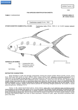 CARANGIDAE FISHING AREA 51 (W. Indian Ocean) Trachinotus Russeli