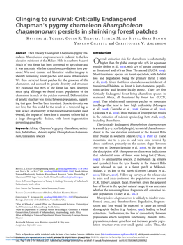 Clinging to Survival: Critically Endangered Chapman's Pygmy Chameleon Rhampholeon Chapmanorum Persists in Shrinking Forest Patches