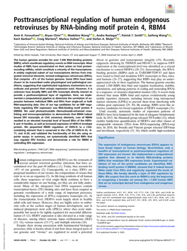 Posttranscriptional Regulation of Human Endogenous Retroviruses by RNA-Binding Motif Protein 4, RBM4