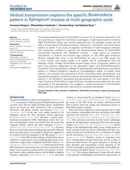 Vertical Transmission Explains the Specific Burkholderia Pattern In