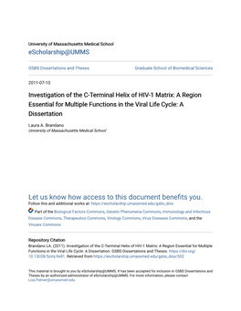 Investigation of the C-Terminal Helix of HIV-1 Matrix: a Region Essential for Multiple Functions in the Viral Life Cycle: a Dissertation