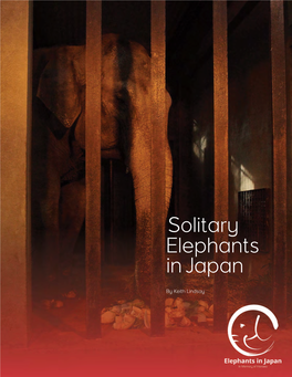 Solitary Elephants Injapan