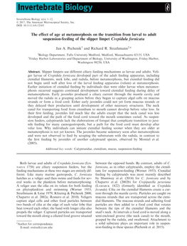 The Effect of Age at Metamorphosis on the Transition from Larval to Adult Suspension-Feeding of the Slipper Limpet Crepidula Fornicata